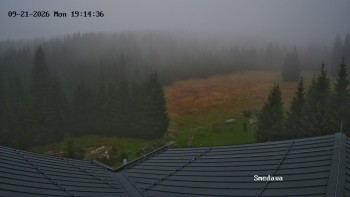Směďava