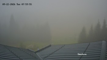 Směďava