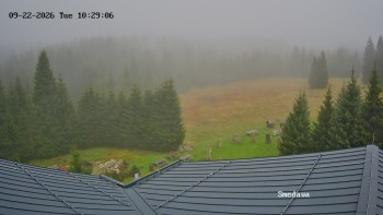 Směďava