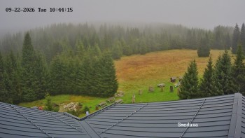 Směďava