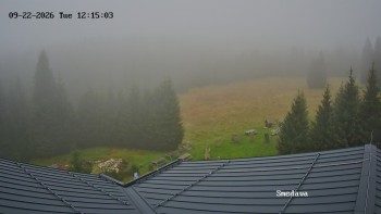 Směďava