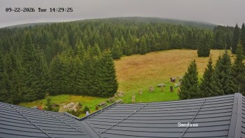 Směďava