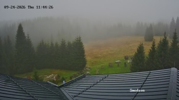 Směďava