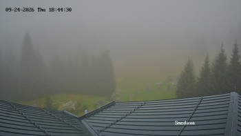Směďava