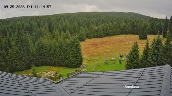 Směďava
