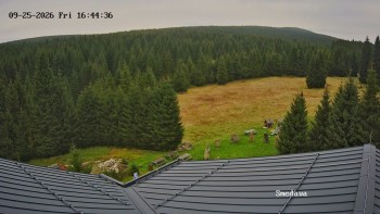 Směďava