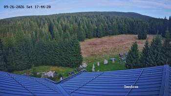 Směďava