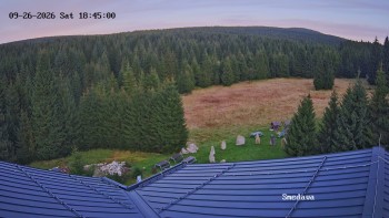 Směďava