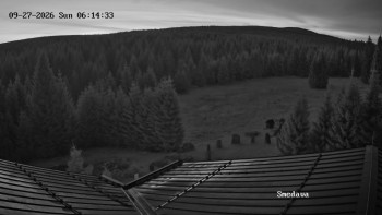 Směďava
