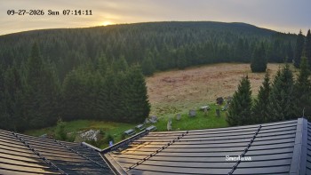 Směďava