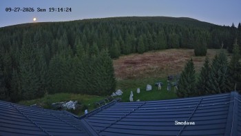Směďava