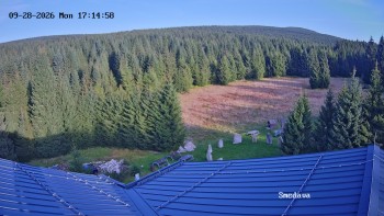 Směďava