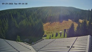 Směďava