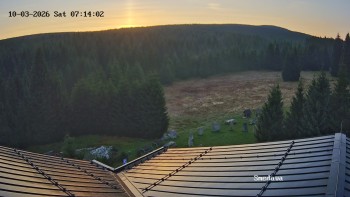 Směďava
