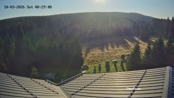Směďava