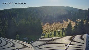 Směďava