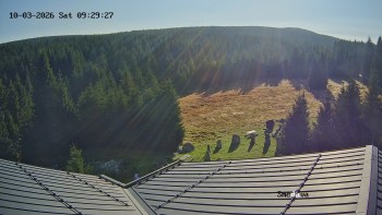 Směďava