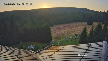 Směďava