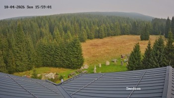 Směďava