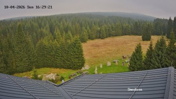 Směďava