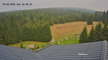 Směďava