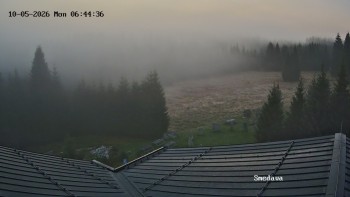 Směďava