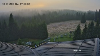 Směďava