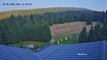 Směďava