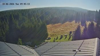 Směďava