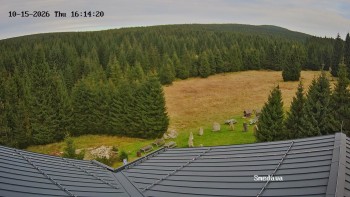 Směďava