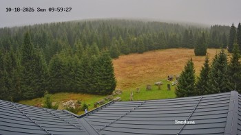 Směďava