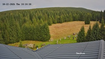 Směďava