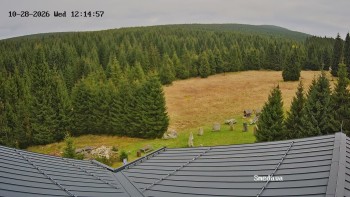 Směďava