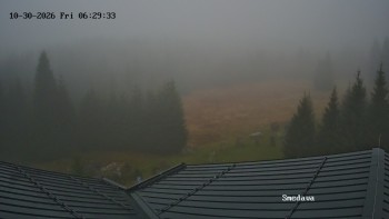 Směďava