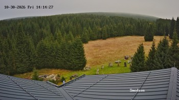 Směďava