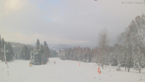 Ski areál Alšovka - Měděnec - Horní část sjezdovek - 20.11.2025 v 12:00