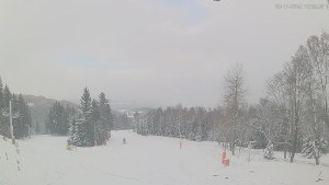 Ski areál Alšovka - Měděnec - Horní část sjezdovek - 20.11.2025 v 12:30