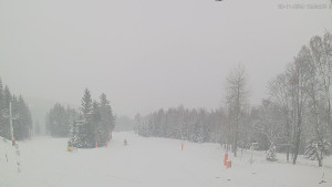 Ski areál Alšovka - Měděnec - Horní část sjezdovek - 20.11.2025 v 13:30