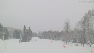 Ski areál Alšovka - Měděnec - Horní část sjezdovek - 20.11.2025 v 14:00