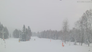 Ski areál Alšovka - Měděnec - Horní část sjezdovek - 20.11.2025 v 14:45