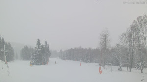 Ski areál Alšovka - Měděnec - Horní část sjezdovek - 20.11.2025 v 15:00