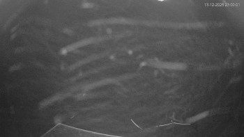 Ski areál Alšovka - Měděnec