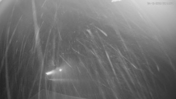 Ski areál Alšovka - Měděnec