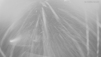 Ski areál Alšovka - Měděnec