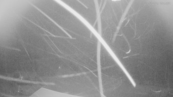 Ski areál Alšovka - Měděnec