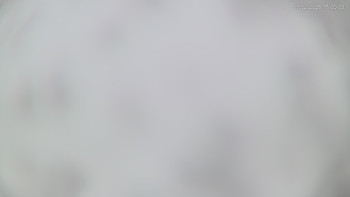 Ski areál Alšovka - Měděnec