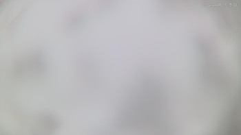 Ski areál Alšovka - Měděnec