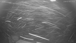 Horní část sjezdovek