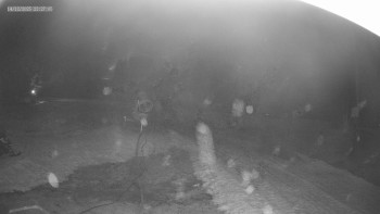 Skiareál Kouty nad Desnou