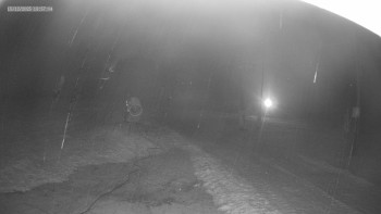 Skiareál Kouty nad Desnou